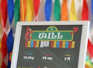 Birthday Cake : Planning a Sesame Street party has never been easier. With the focus on bright, …