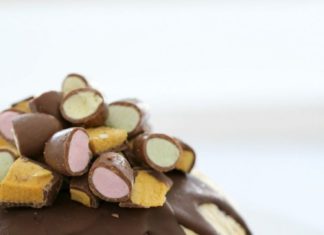 Birthday Cake : A completely over the top, super simple triple layer Christmas ice-cream pudding…