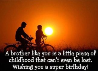 Birthday Quotes : happy birthday brother
