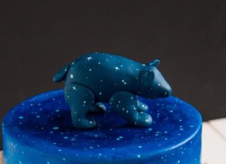Birthday Cake : Ursa Major Cake by Letterpress Bakery