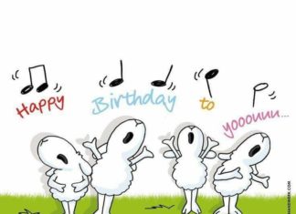 Birthday Quotes : Animal lovers birthday