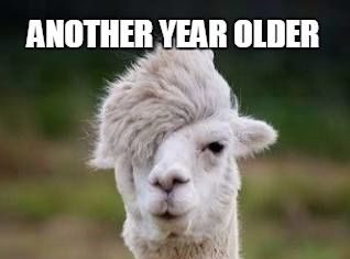 Birthday Quotes : Another year older and still as sexy as ever!