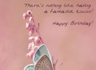 Birthday Quotes : best electronic birthday cards to cousin