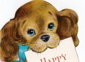 Birthday Quotes : Birthday Card Little Pup W63 | eBay