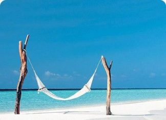 Birthday Quotes : Birthday Quotes for Cousin