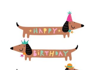 Birthday Quotes : dachshund happy birthday illustration
