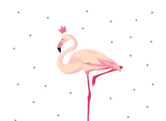 Birthday Quotes : Flamingo birthday – Free Printable Birthday Card | Greetings Island …