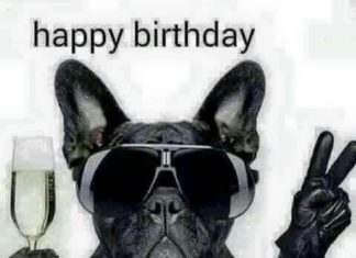 Birthday Quotes : Happy Birthday Dawg