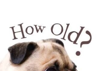 Birthday Quotes : happy birthday male – Google Search