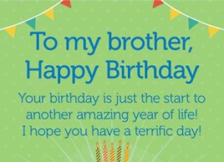 Birthday Quotes : Have a Terrific Day! Happy Birthday Card for Brother: Celebrate your brother'…