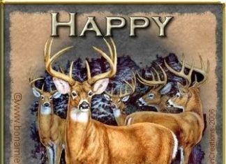 Birthday Quotes : Karen Thibodaux uploaded this image to 'Comment Pics/Birthday'. See the…