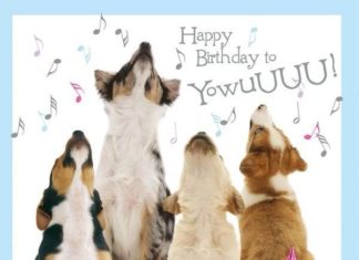 Happy Birthday Wiches : Anniversaire