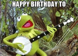 Happy Birthday Wiches : Image result for kermit the frog happy birthday images