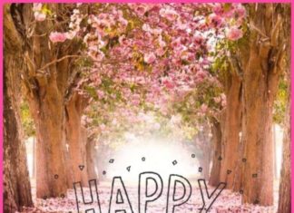 Happy Birthday Wiches : videoswatsapp.com Photo Happy Birthday Wishes Happy Birthday Quotes Happy Birthd…