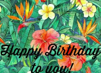 Happy Birthday Wiches : Happy Birthday