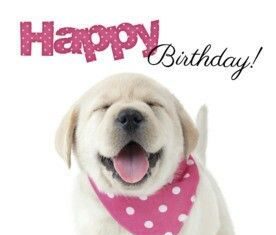 Birthday Quotes : Happy Birthday!