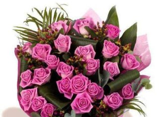 Birthday Quotes : videoswatsapp.com quotes birthday – Happy Birthday Wishes Happy Birthday Quotes …