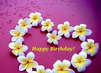 Happy Birthday Wiches : Happy birthday