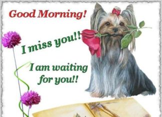 Birthday Quotes : videoswatsapp.com quotes birthday – Happy Birthday Wishes Happy Birthday Quotes …