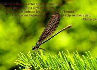 Birthday Quotes : videoswatsapp.com quotes birthday – Happy Birthday Wishes Happy Birthday Quotes …