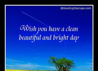 Birthday Quotes : videoswatsapp.com quotes birthday – Happy Birthday Wishes Happy Birthday Quotes …