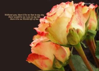 Birthday Quotes : videoswatsapp.com quotes birthday – Happy Birthday Wishes Happy Birthday Quotes …