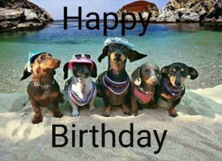 Happy Birthday Wiches : Happy Birthday