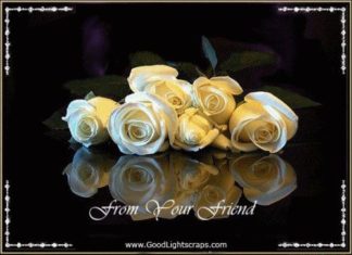 Birthday Quotes : videoswatsapp.com quotes birthday – Happy Birthday Wishes Happy Birthday Quotes …