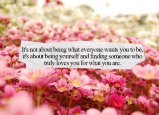 Birthday Quotes : videoswatsapp.com quotes birthday – Happy Birthday Wishes Happy Birthday Quotes …