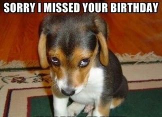 Birthday Quotes : Happy Belated Birthday