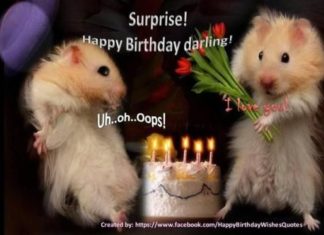 Birthday Quotes : videoswatsapp.com quotes birthday – Happy Birthday Wishes Happy Birthday Quotes …