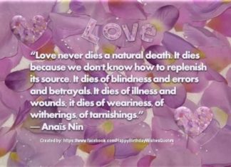 Birthday Quotes : videoswatsapp.com quotes birthday – Happy Birthday Wishes Happy Birthday Quotes …