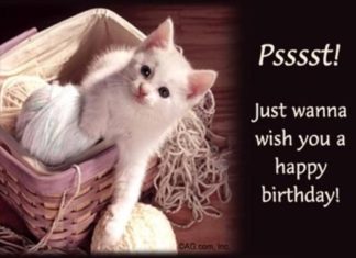 Birthday Quotes : videoswatsapp.com quotes birthday – Happy Birthday Wishes Happy Birthday Quotes …