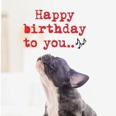 Happy Birthday Wiches : Happy birthday