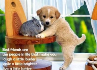 Birthday Quotes : videoswatsapp.com quotes birthday – Happy Birthday Wishes Happy Birthday Quotes …