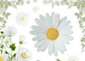 Happy Birthday Wiches : Happy Birthday