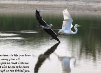 Birthday Quotes : videoswatsapp.com quotes birthday – Happy Birthday Wishes Happy Birthday Quotes …