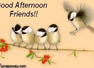 Birthday Quotes : videoswatsapp.com quotes birthday – Happy Birthday Wishes Happy Birthday Quotes …