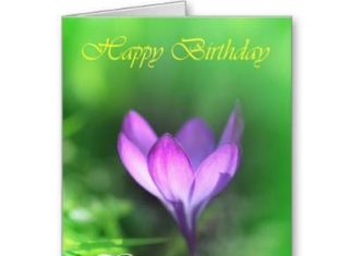 Birthday Quotes : videoswatsapp.com quotes birthday – Happy Birthday Wishes Happy Birthday Quotes …
