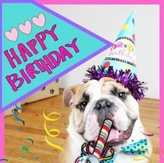 Happy Birthday Wiches : Happy Birthday!