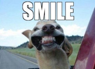 Birthday Quotes : videoswatsapp.com quotes birthday – Happy Birthday Wishes Happy Birthday Quotes …