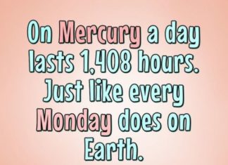 Birthday Quotes : videoswatsapp.com quotes birthday – Happy Birthday Wishes Happy Birthday Quotes …