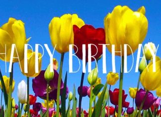 Happy Birthday Wiches : Happy Birthday Gifs – Share With Friends on Facebook