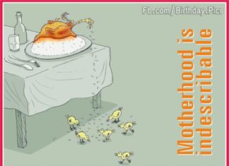 Birthday Quotes : videoswatsapp.com Happy Birthday – Happy Birthday Wishes Happy Birthday Quotes H…