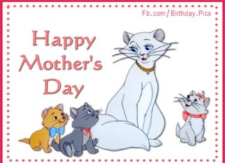 Birthday Quotes : videoswatsapp.com Happy Birthday – Happy Birthday Wishes Happy Birthday Quotes H…