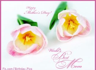 Birthday Quotes : videoswatsapp.com Happy Birthday – Happy Birthday Wishes Happy Birthday Quotes H…