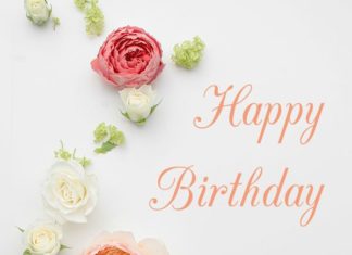 Birthday Quotes : Happy Birthday!
