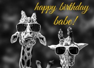 Birthday Quotes : videoswatsapp.com Happy Birthday – Happy Birthday Wishes Happy Birthday Quotes H…