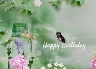 Birthday Quotes : videoswatsapp.com Happy Birthday – Happy Birthday Wishes Happy Birthday Quotes H…
