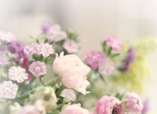 Happy Birthday Wiches : Happy Birthday